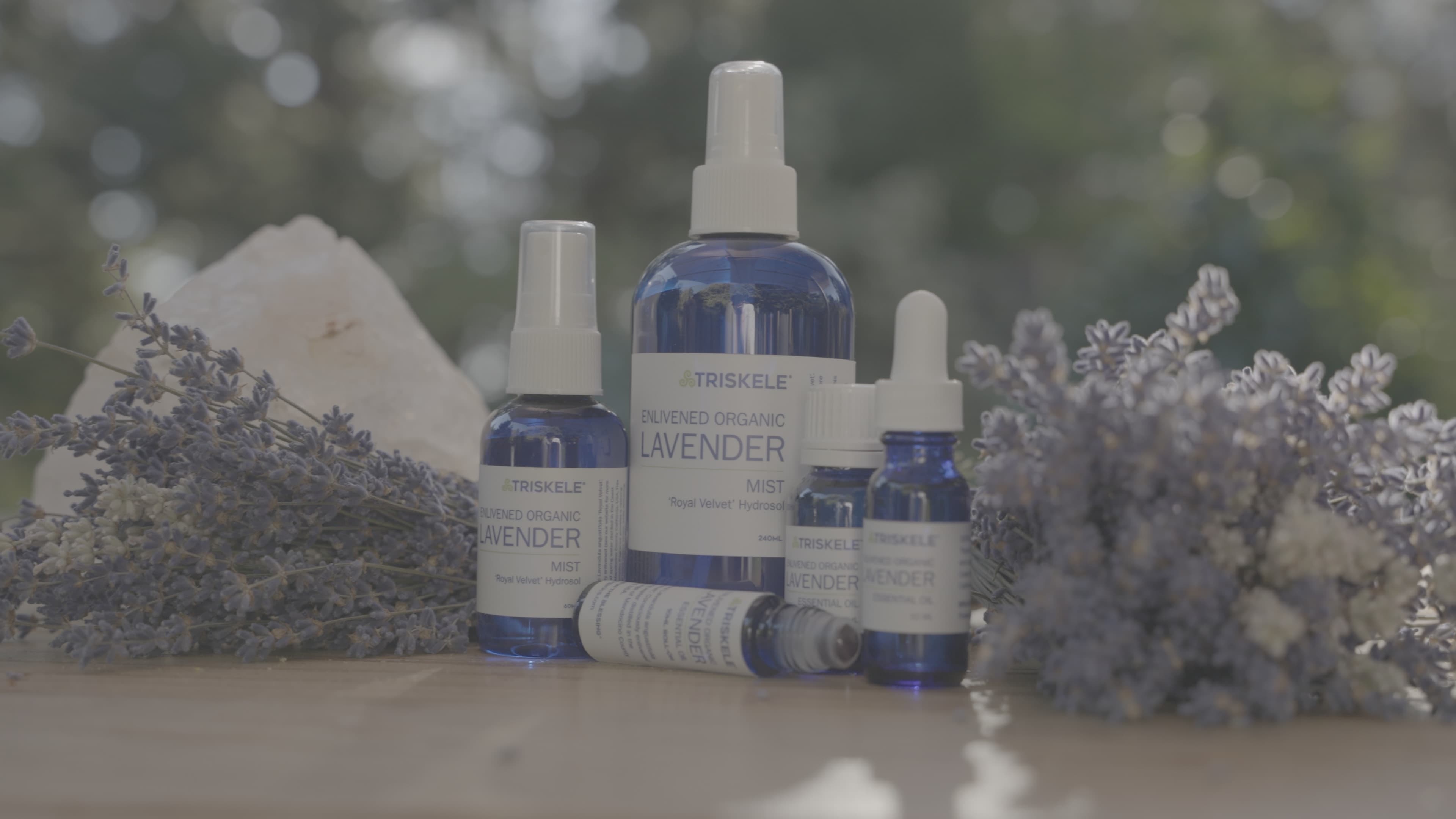 Before Professional post-production color grading for lavender farm commercial video production