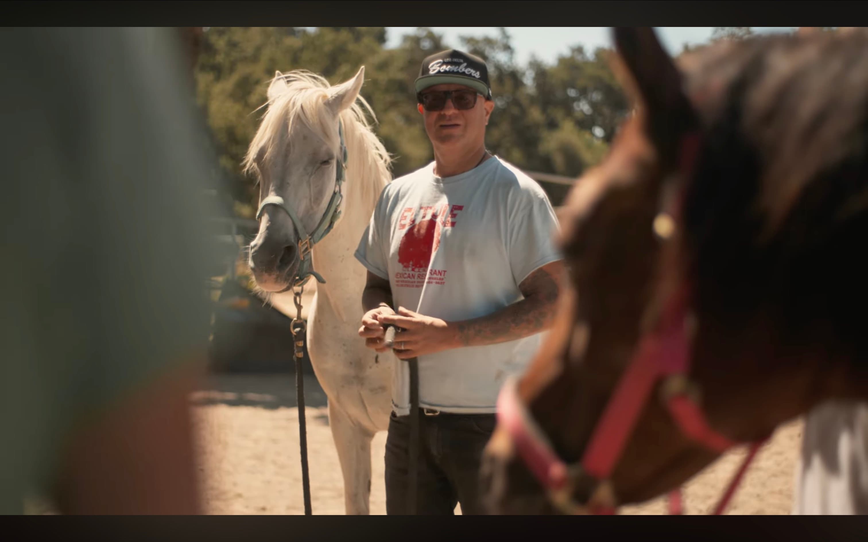 Zenerosity Equine Therapy thumbnail